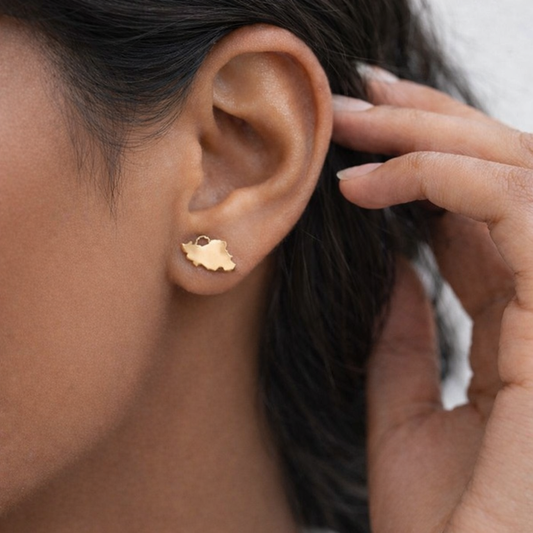 Iran Earrings.