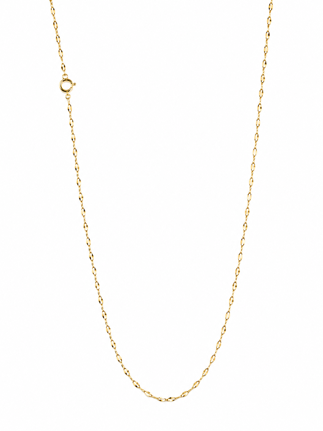 Shinee Chain Long Necklace