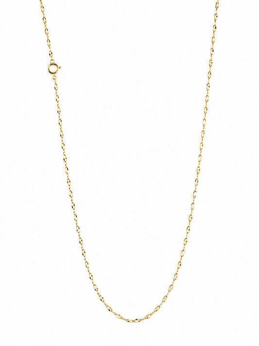 Shinee Chain Long Necklace